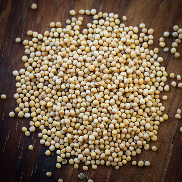 Yellow Mustard Seed