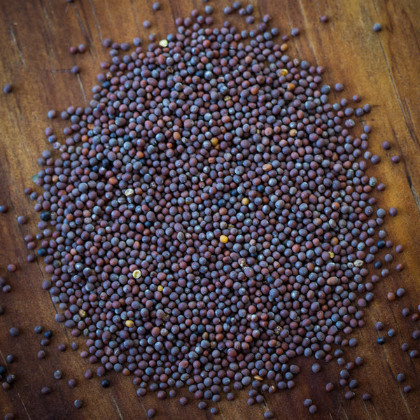 Brown Mustard Seed