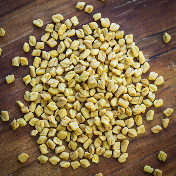 Fenugreek seed